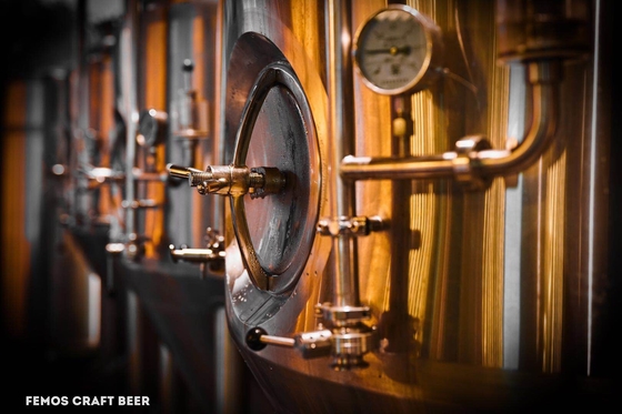 Équipement de brassage de bière de MicroCraft