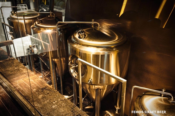 Équipement de brassage de bière de MicroCraft
