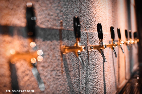 Concevez l'usine en fonction du client à la maison de brasserie d'équipement de brassage de bière pour la fabrication de bière de Walt