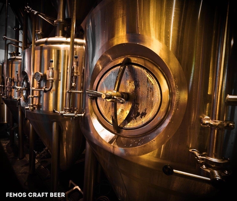 Concevez l'usine en fonction du client à la maison de brasserie d'équipement de brassage de bière pour la fabrication de bière de Walt