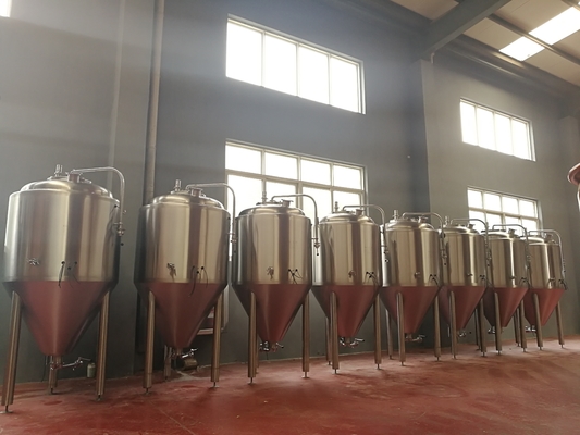 Conique revêtu à la maison de cuve de fermentation de bière de systèmes de brassage de barre de bar/bière grand