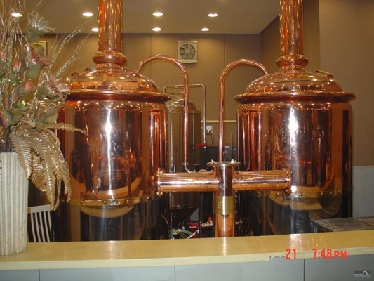 certification clés en main de la CE de système de brassage de mini équipement micro de la brasserie 500L