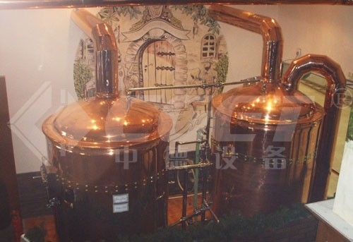 certification clés en main de la CE de système de brassage de mini équipement micro de la brasserie 500L
