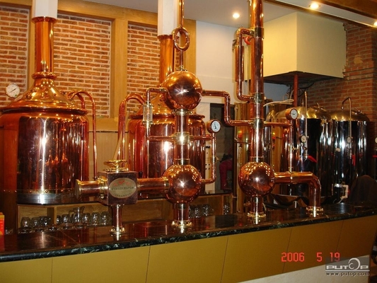 certification clés en main de la CE de système de brassage de mini équipement micro de la brasserie 500L