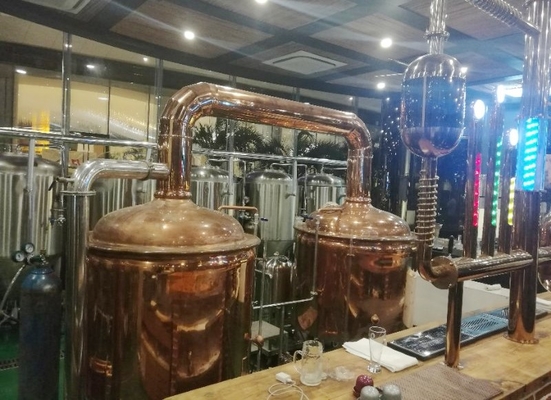 certification clés en main de la CE de système de brassage de mini équipement micro de la brasserie 500L