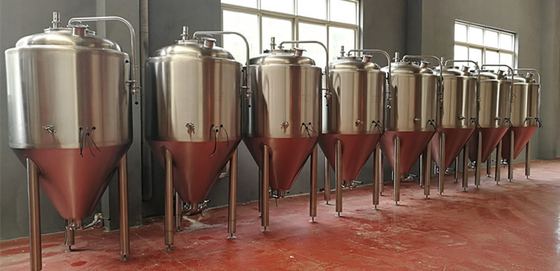 Microbrasserie de bière de Brewpub mettant l'équipement en tonneau 200L semi automatique 500L 1000L