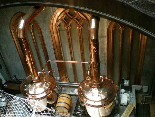 Équipement de cuivre de brassage de vapeur semi automatique, machine de la microbrasserie 500L