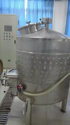chaîne de production de la bière 100L SUS 304 d'équipement d'essai du vin garantie de 1 an