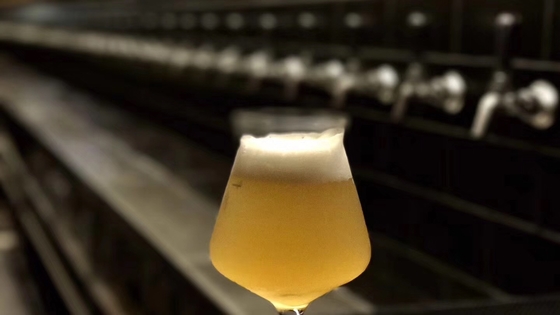 Monophasé de chauffage de vapeur d'équipement de brassage de bière de métier de bar ou phase 3