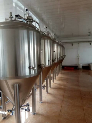 Bière industrielle de contrôle de fermentation faisant l'équipement pour la pièce de laboratoire