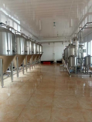 Bière industrielle de contrôle de fermentation faisant l'équipement pour la pièce de laboratoire
