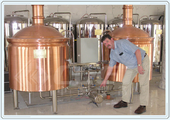 Matériel de cuivre rouge de cuve de fermentation de petit de bière équipement industriel de brasserie