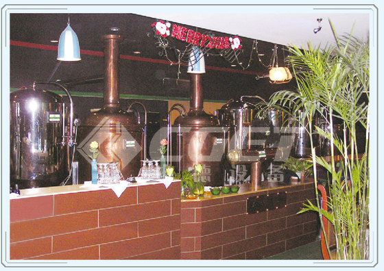 Matériel de cuivre rouge de cuve de fermentation de petit de bière équipement industriel de brasserie
