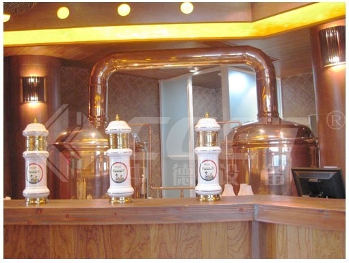 kit à la maison de brassage de bière de l'en cuivre 500L d'équipement rouge de brassage garantie de 1 an