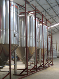 Équipement conique de brassage d'acier inoxydable de fermenteur pour l'hôtel de restaurants