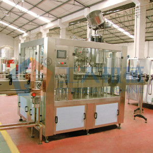 Ligne d'embouteillage de bière de machine de remplissage de bière de certificat de la CE AC220V ou AC380V
