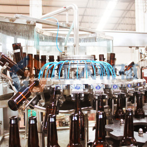 Ligne d'embouteillage de bière de machine de remplissage de bière de certificat de la CE AC220V ou AC380V