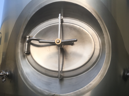 Équipement 20bbl de brassage de bière du métier SUS304 avec le contrôle de PLC de pierre de carbonation