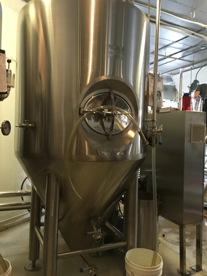 type clés en main de verticale de systèmes de Brewpub d'équipement de microbrasserie de 500L 1000L SS304