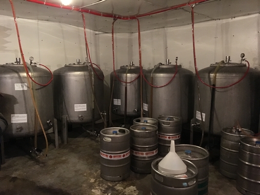 type clés en main de verticale de systèmes de Brewpub d'équipement de microbrasserie de 500L 1000L SS304