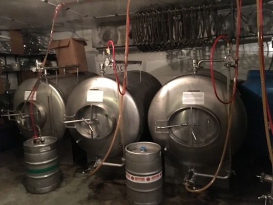 type clés en main de verticale de systèmes de Brewpub d'équipement de microbrasserie de 500L 1000L SS304
