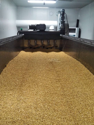 Chaîne de production d'emballage de maltage avec tremper le réservoir, germant étuvant la boîte