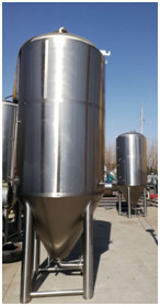 Fermenteur conique 3000L de bière de bière lumineuse revêtue verticale de cuve de fermentation