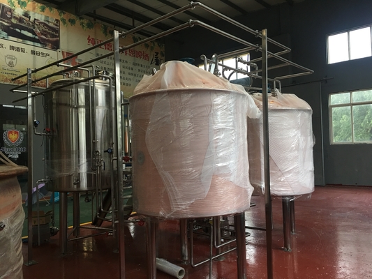 Fermenteur de petite capacité d'acier inoxydable de cuves de fermentation du système 10Hl de brassage de bière