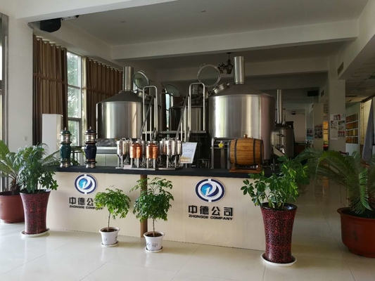 Équipement 20bbl de brassage de bière du métier SUS304 avec le contrôle de PLC de pierre de carbonation