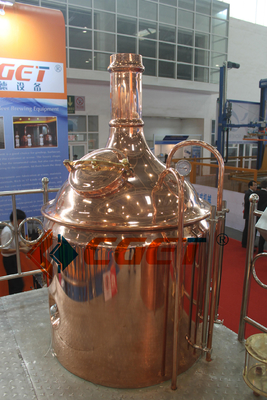 Système de brassage de l'équipement 500L de brassage de bière de métier du SUS 304 avec du CE d'OIN diplômée pour Rusina