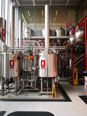 Système de brassage de l'équipement 500L de brassage de bière de métier du SUS 304 avec du CE d'OIN diplômée pour Rusina