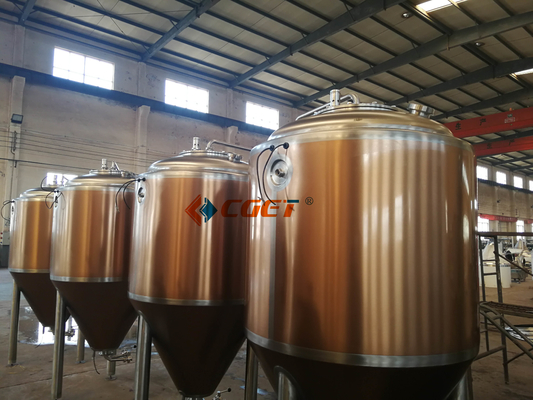 Système de brassage de l'équipement 500L de brassage de bière de métier du SUS 304 avec du CE d'OIN diplômée pour Rusina