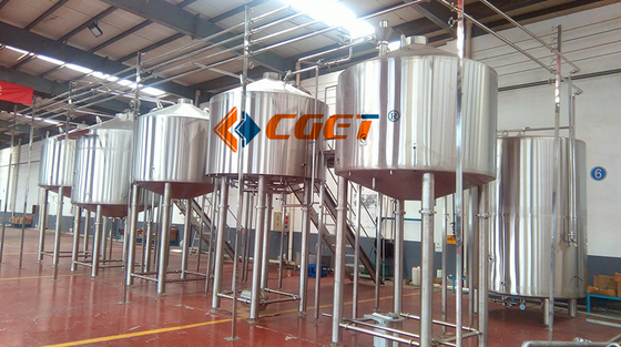 équipement de brassage de la large échelle 3000L 304 pompes sanitaires