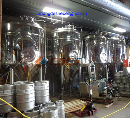 équipement de brassage de la large échelle 3000L 304 pompes sanitaires