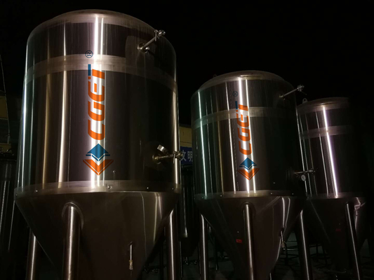 équipement de brassage de la large échelle 3000L 304 pompes sanitaires