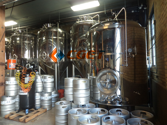 équipement de brassage de la large échelle 3000L 304 pompes sanitaires